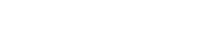 Valores Apostamos a crecer con el esfuerzo colectivo, convencidos de que el trabajo en equipo es nuestra principal herramienta. Anteponemos a nuestras acciones el respeto y la responsabilidad, tanto internos como externos, y valoramos el factor humano por sobre todas las cosas. 